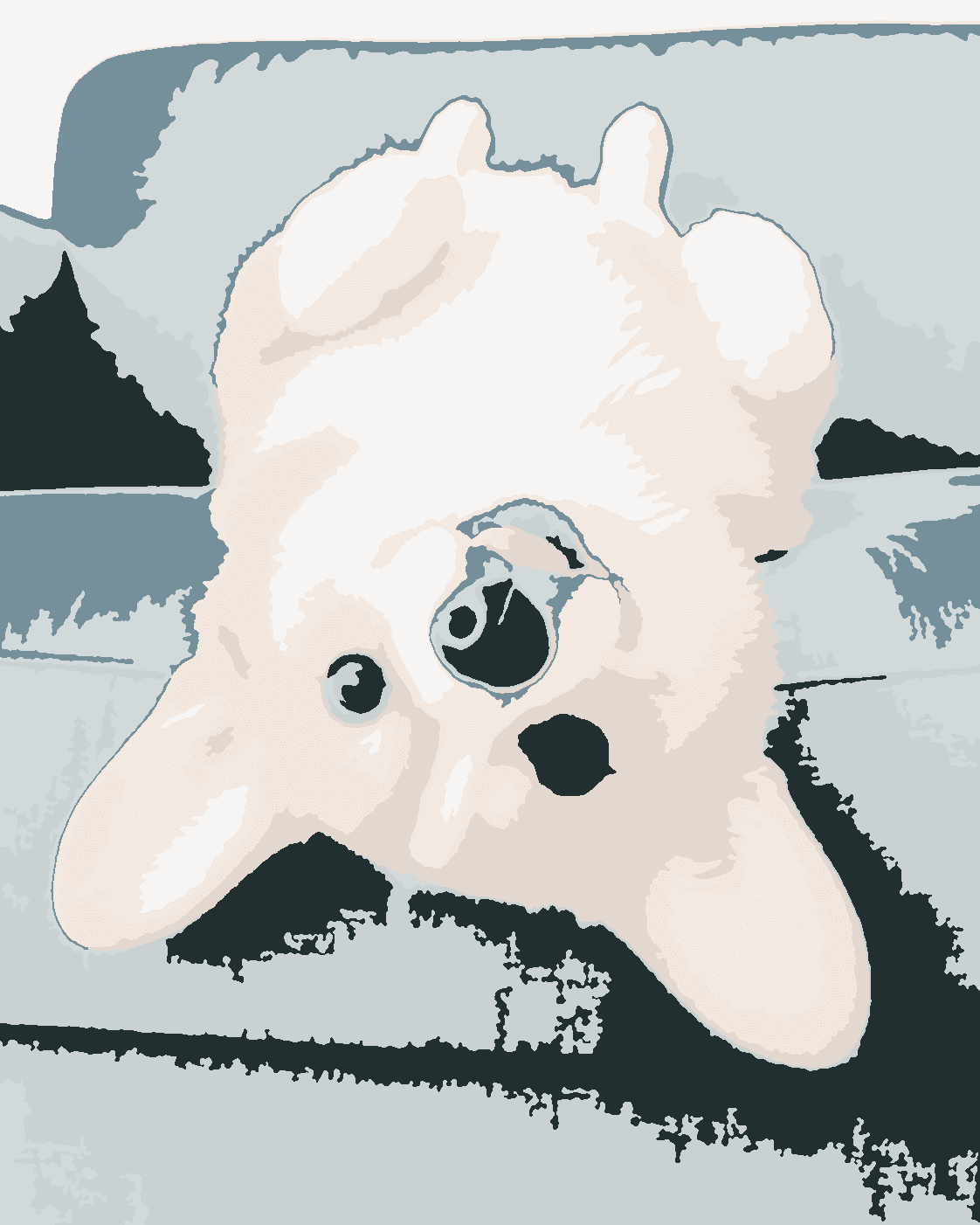 A colorful painting study created with PaintSteps